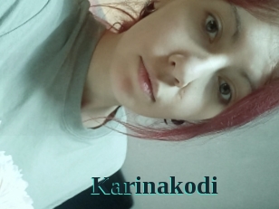 Karinakodi