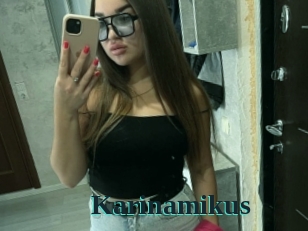 Karinamikus