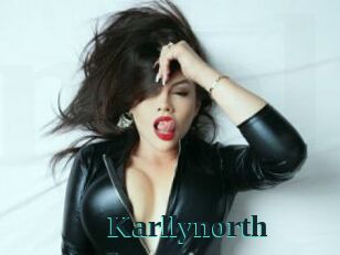 Karllynorth