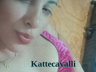 Kattecavalli