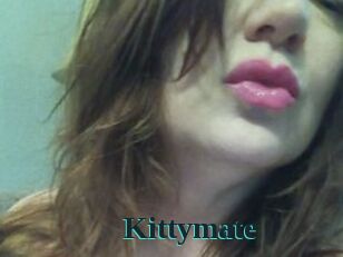 Kittymate