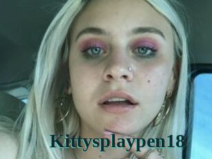 Kittysplaypen18