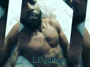 LDgadget