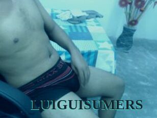 LUIGUISUMERS