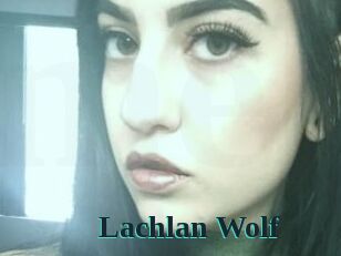 Lachlan_Wolf Melody Melons