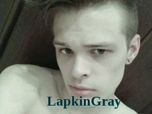 LapkinGray