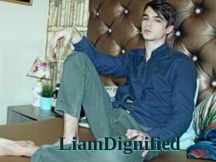 LiamDignified