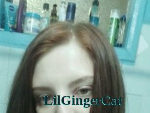 LilGingerCat
