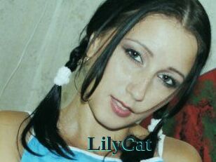 Lily_Cat_