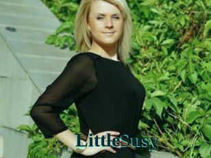 LittleSusy