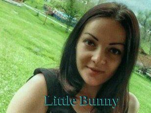 Little_Bunny_