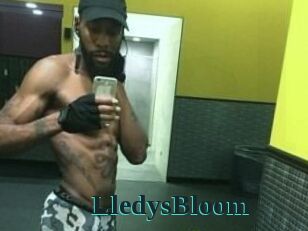 Lledys_Bloom Melody Melons
