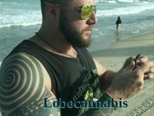 Lobocannabis