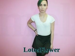 LotosFlower Melody Melons