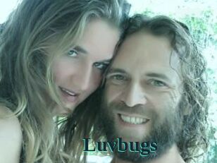 Luvbugs