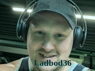 ladbod36 Melody Melons
