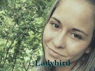 Ladybird