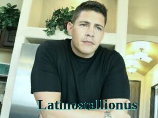 Latinostallionus