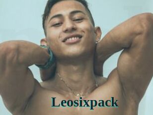 Leosixpack