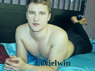 Levielwin