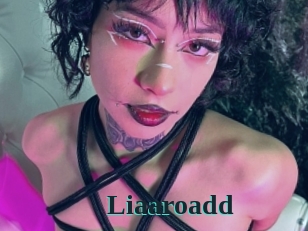Liaaroadd