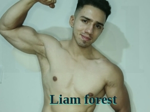 liam_forest Melody Melons