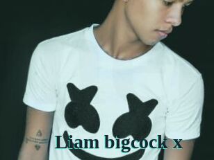Liam_bigcock_x