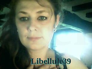 Libellule39
