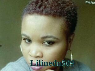 Lilinedu509