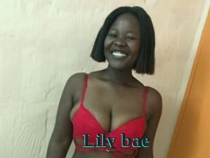 Lily_bae