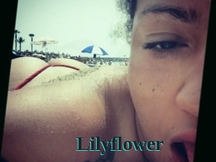 lilyflower Melody Melons