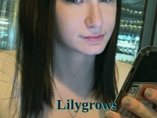 Lilygrows