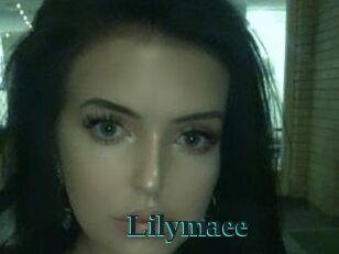 Lilymaee