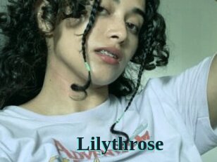 Lilythrose