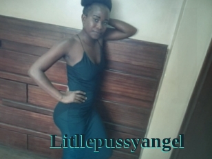 Litllepussyangel