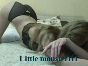 Little_mouse_1111