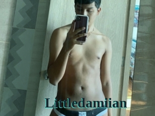 Littledamiian