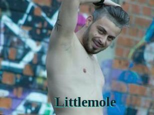 Littlemole