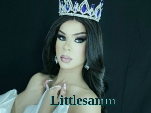 Littlesamm