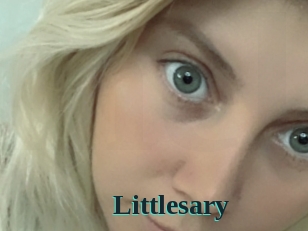 Littlesary