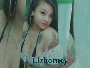 Lizhorney