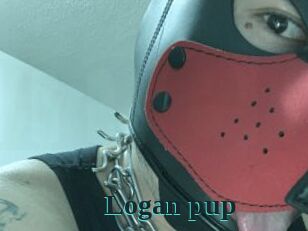 Logan_pup