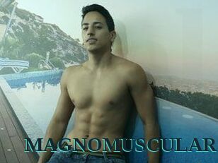 MAGNOMUSCULAR