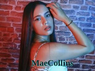 MaeCollins