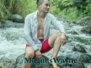 MagnusWayne