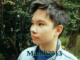 Mandi2013
