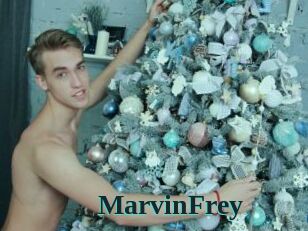 MarvinFrey
