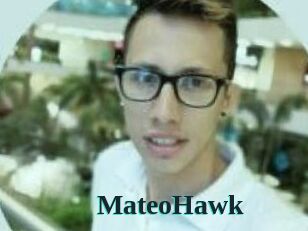 MateoHawk