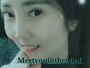 Meetyouinthewind
