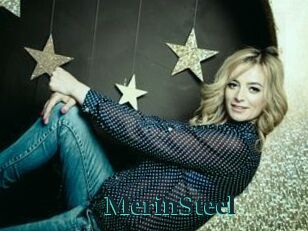 MerinSteel